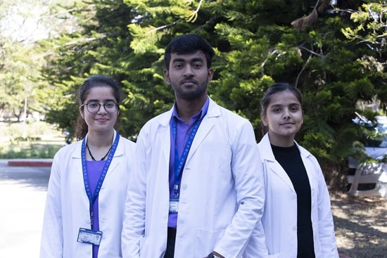 Diploma - Paramedical
