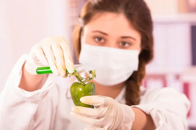 Study M.Sc. Food Science Technology at HSBS Study M.Sc. Food Science Technology at HSBS