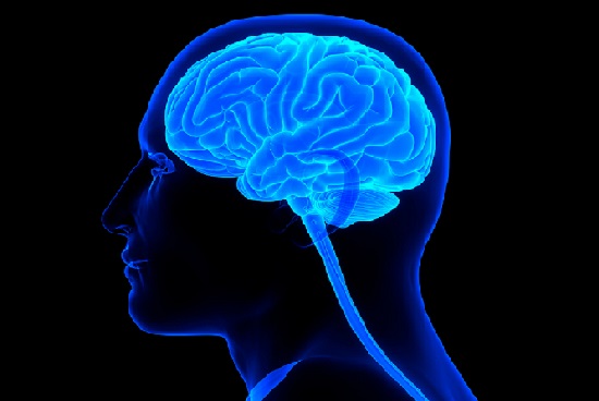 MPT-Neurology