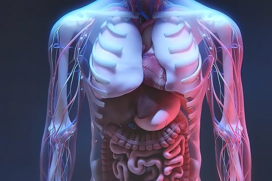 Anatomy Department at HIMS