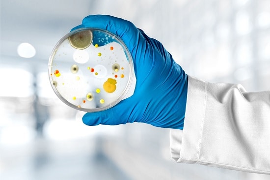 Microbiology Department at HIMS