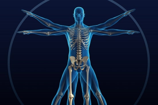 Physiology Department at HIMS