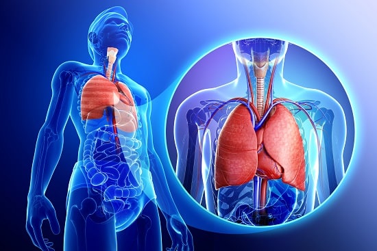Pulmonary-Medicine Department at HIMS